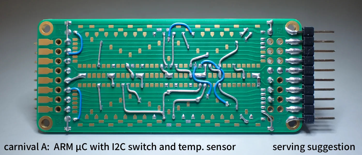 carnival A protoboard