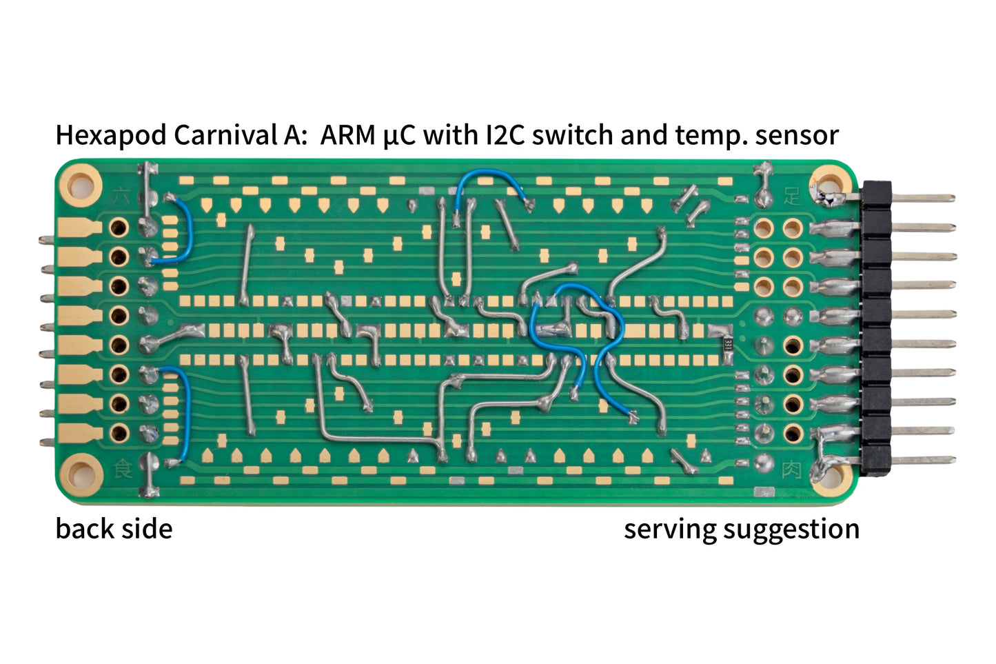 Carnival A protoboard