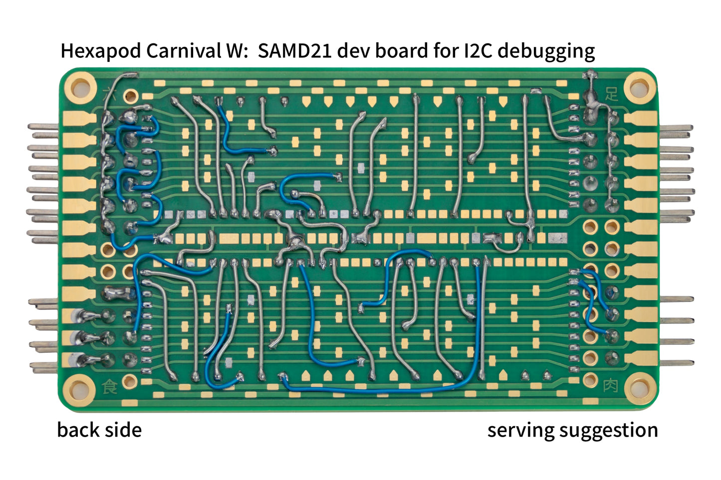 Carnival W protoboard
